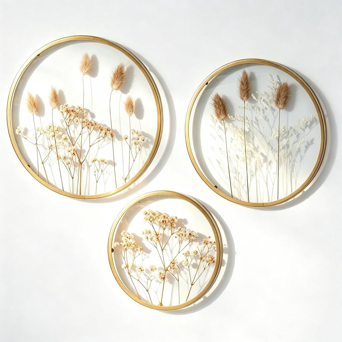 Gedroogde bloemen, 3-delig, dubbel glazen frame, droogbloemen, krans goud, diameter 16, 22, 25 cm, geperste bloemen, decoratie voor het hele jaar door