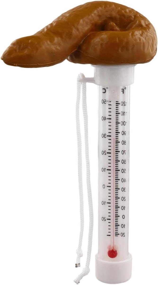 Drijvende Thermometer - Watermeter Spa - Water Temperatuur - Grappig Ontwerp - 20x8x5 cm - Zoals Afgebeeld