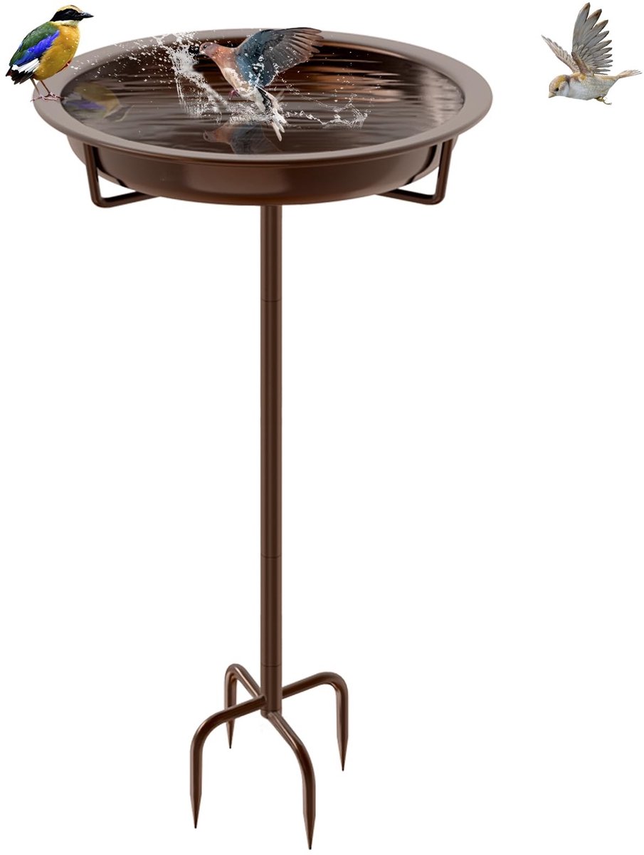 Dailygoods- Vogelbad Gietijzer - Vogelbad Voor Buiten - Tuin Decoratie - Weerbestendig - Stevig Metalen Vogelbad - 4 Tanden Basisstaak - Vogelvoeder