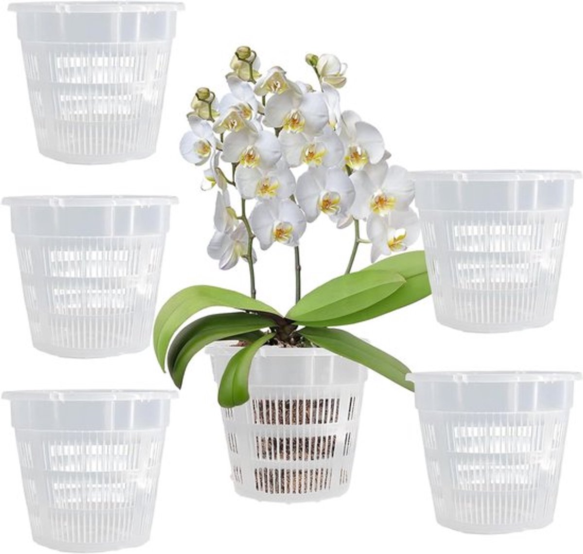 Set van 5 Transparante Vazen, Lichtgewicht Plastic Potten met Afvoergaten voor Bloemen, Orchideeën en Binnenplanten, Ideaal voor Balkon en Kantoorgebruik