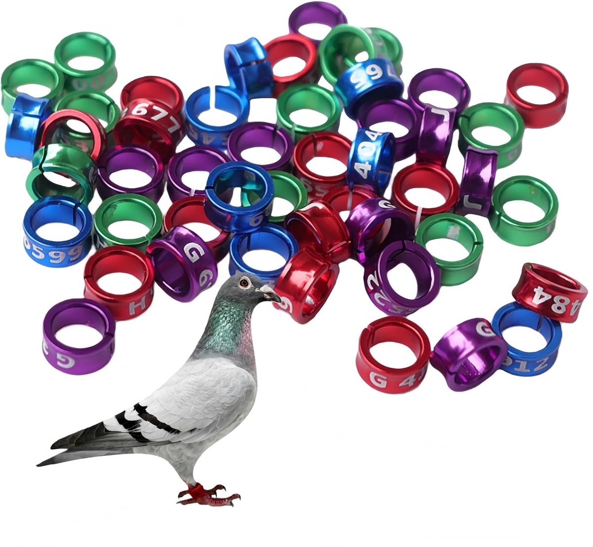 50 Stuks Voetringen voor Vogels, Geschikt voor Papegaaien, Duiven en Kwartels, Binnenmaat ca. 6mm (Gemengde Kleuren)