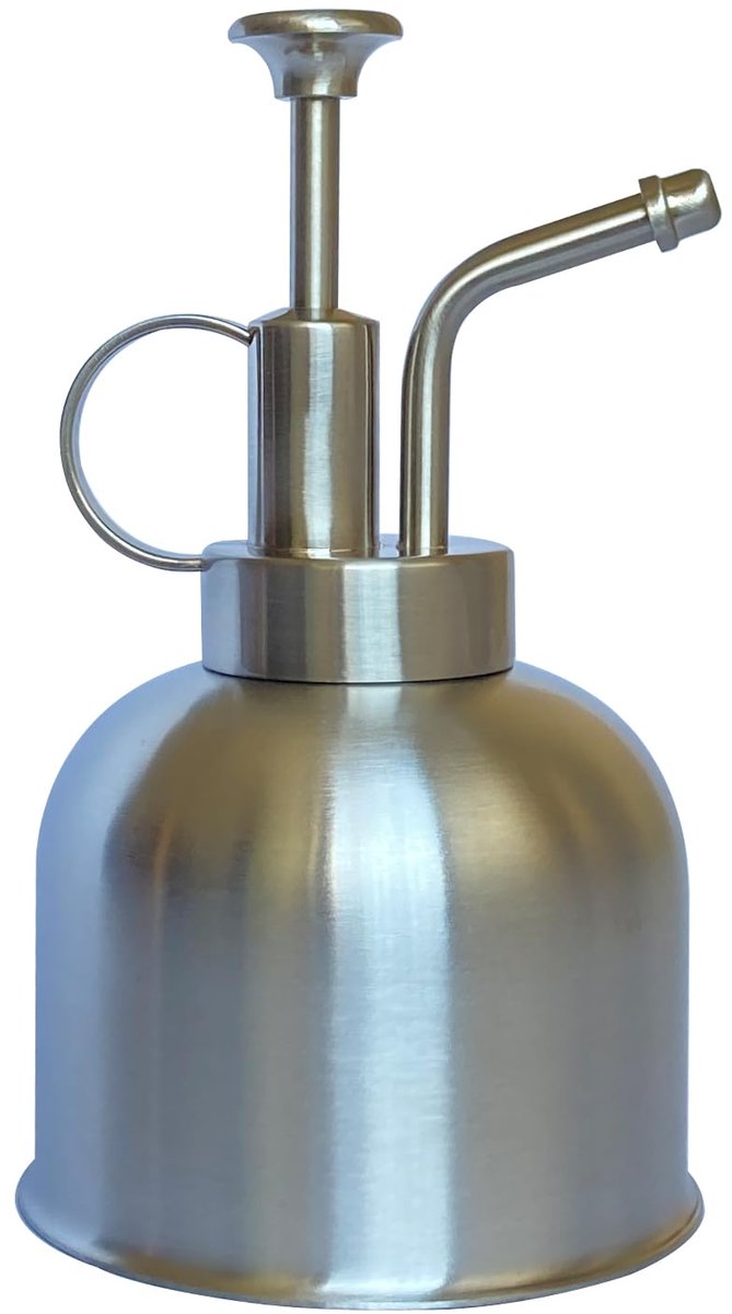 plantensproeier, kleine gieter plantenspuitfles, modern tuingereedschap voor binnenpotplanten, water geven en sproeien (Mat Zilver, 0.3L)