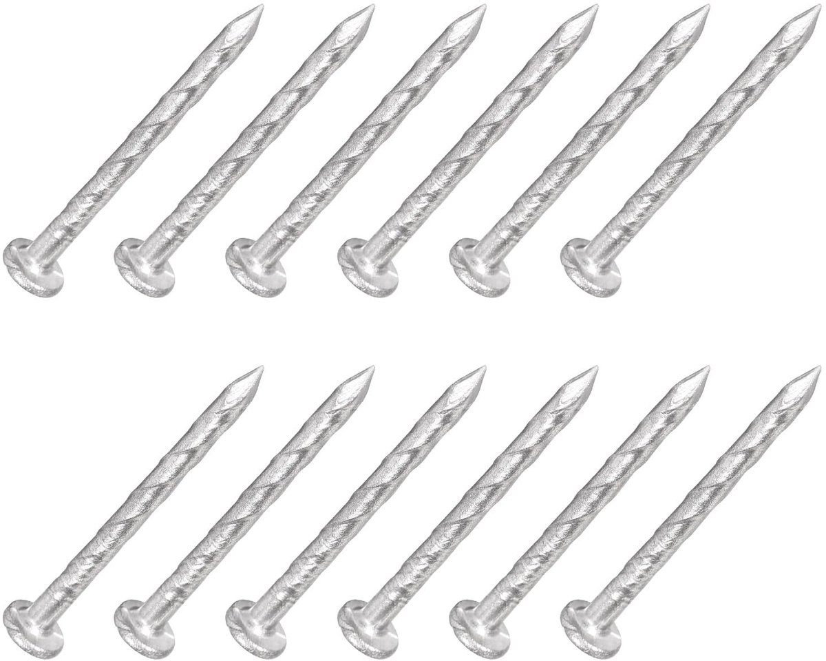 Omheining Deck Nagels (27mmx2mm) 100st, 304 RVS Spiraal Shank Deck Nail - voor Huis Reparatie, Muur, Vloer, Zilver