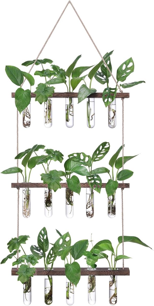 SnelShoppen - Reageerbuisjes voor bloemen en planten, set van 3 kleine vazen met standaard, ideaal voor hydrocultuurplanten, stekken, kamerplanten, pl