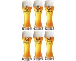 Erdinger Bierglazen 50cl set van 6 stuks - Bier Glas 0,5 l - Taps Toelopend - 500 ml