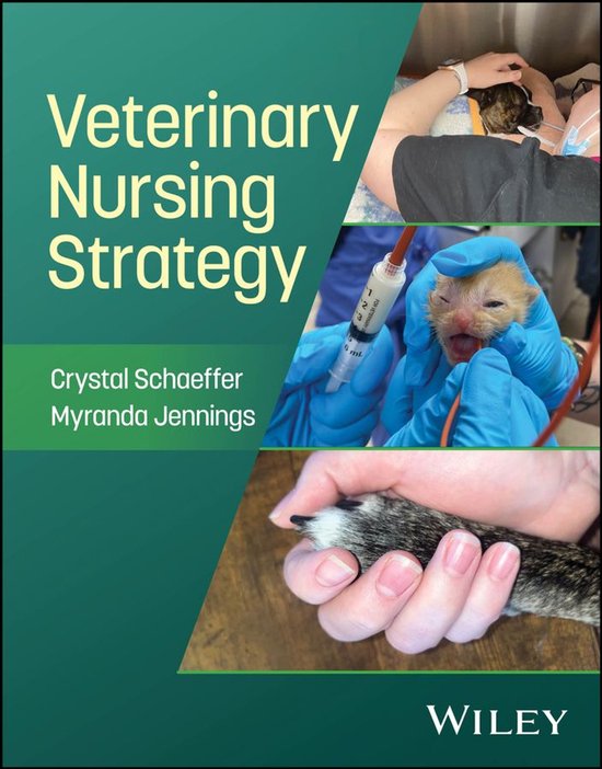 Veterinary Nursing Strategy - cover