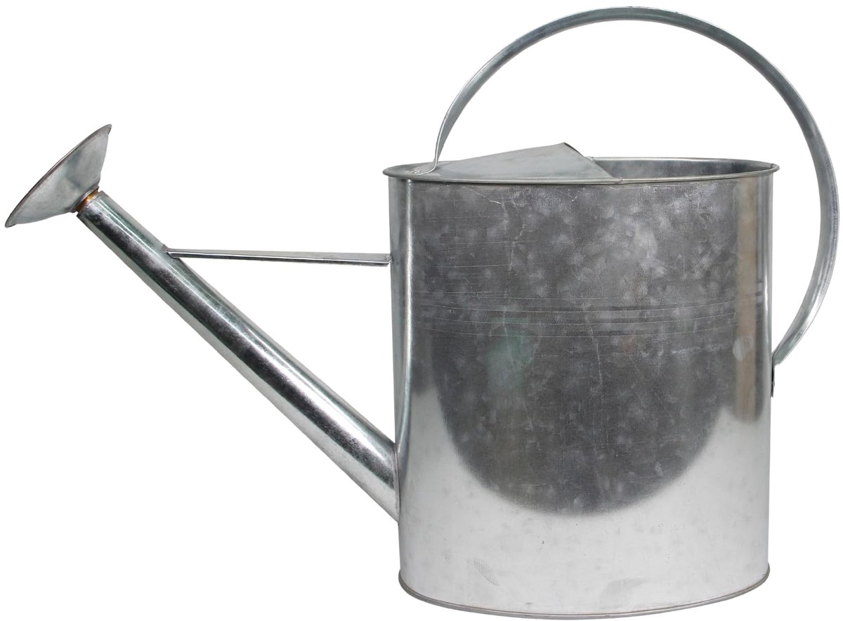 SnelShoppen - HOME It® Gieter 10L met Afneembare Broskop - Klassieke Tuin Gieter van Gegalvaniseerd Staal - Ideaal voor Tuin, Balkon en Camping - Maat