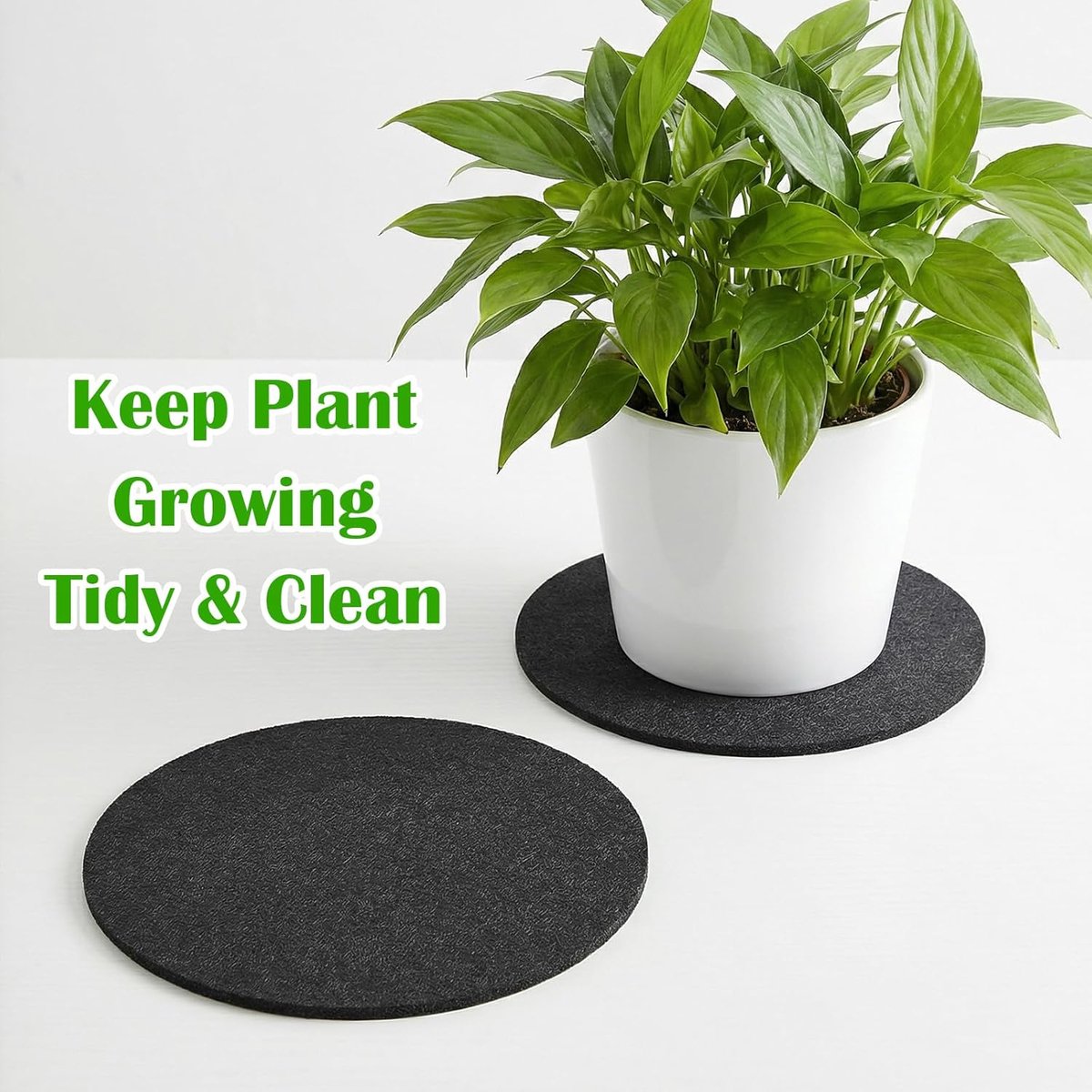SnelShoppen - 6 Stuks Vilt Plant Coasters 15.5cm Absorberende Planten Onderzetters Herbruikbare Matten voor Binnen en Buiten Potten, Bloemen en Heet S