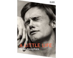 Picador Collection-A Little Life