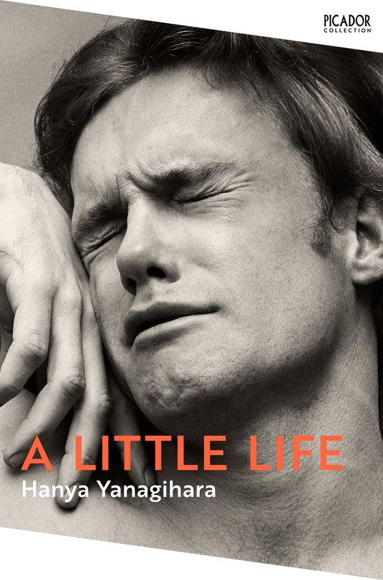 Boekomslag met een close-up van een man met gesloten ogen, getiteld 'A Little Life'.