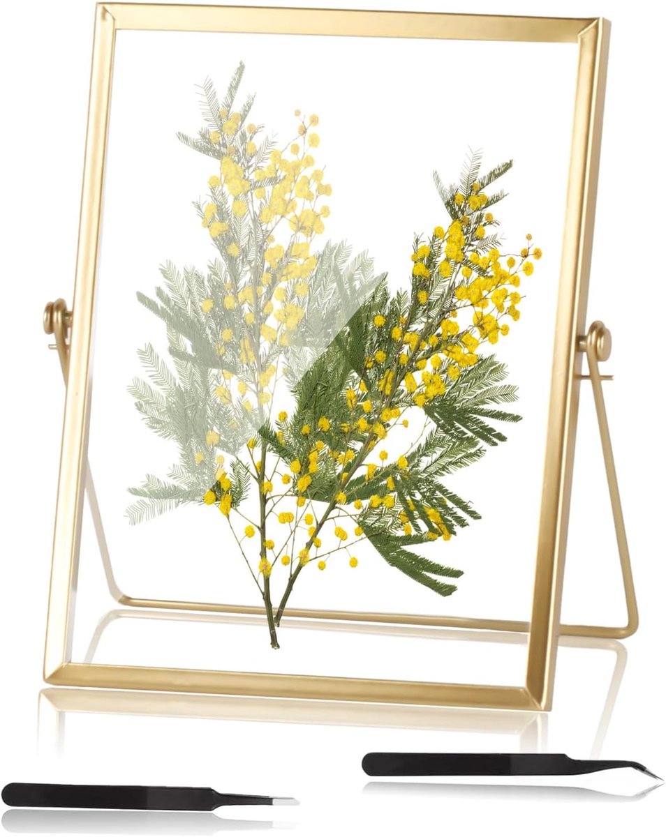 SnelShoppen - Glazen Fotolijsten met Geperste Bloemen - 15x20 cm Drijvende Displayframes - Gouden Handgemaakte Woondecoratie voor Droogbloemen en Kuns