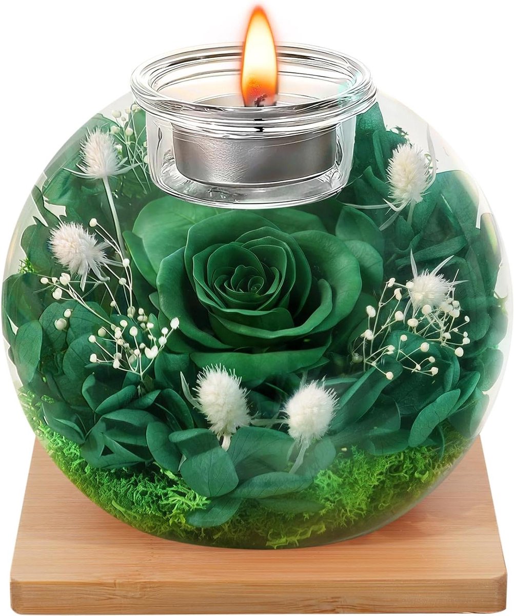 Glazen Dome - Eeuwige Roos - Decoratie Huis - Met Geurkaarsen - 18 Kaarsen - Donkergroen