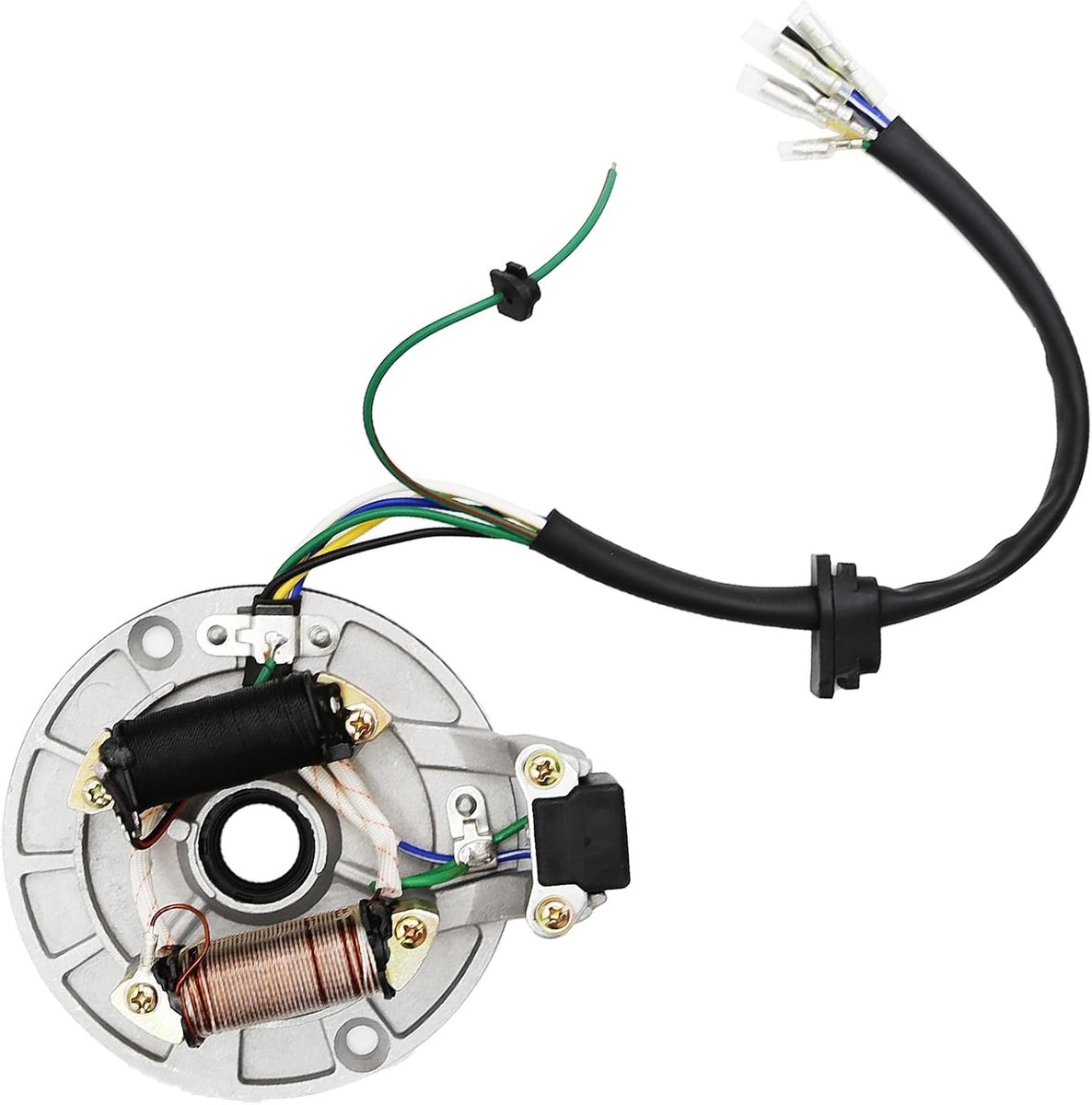 SnelShoppen - 2 Coil Ontsteking Magneto Stator Plaat voor 50 70 90 110 125cc Motoren - Duurzaam Aluminium en Koper - ATV Quad Dirt Kick Bike Kick Star