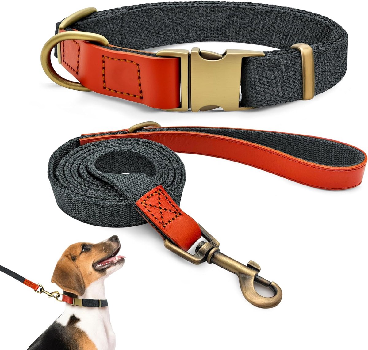 SnelShoppen - Dog Collar and Leash Set Verstelbaar en Robuust - Tactische Leash voor Kleine, Middelgrote en Grote Honden - Blauw-Zwart - M