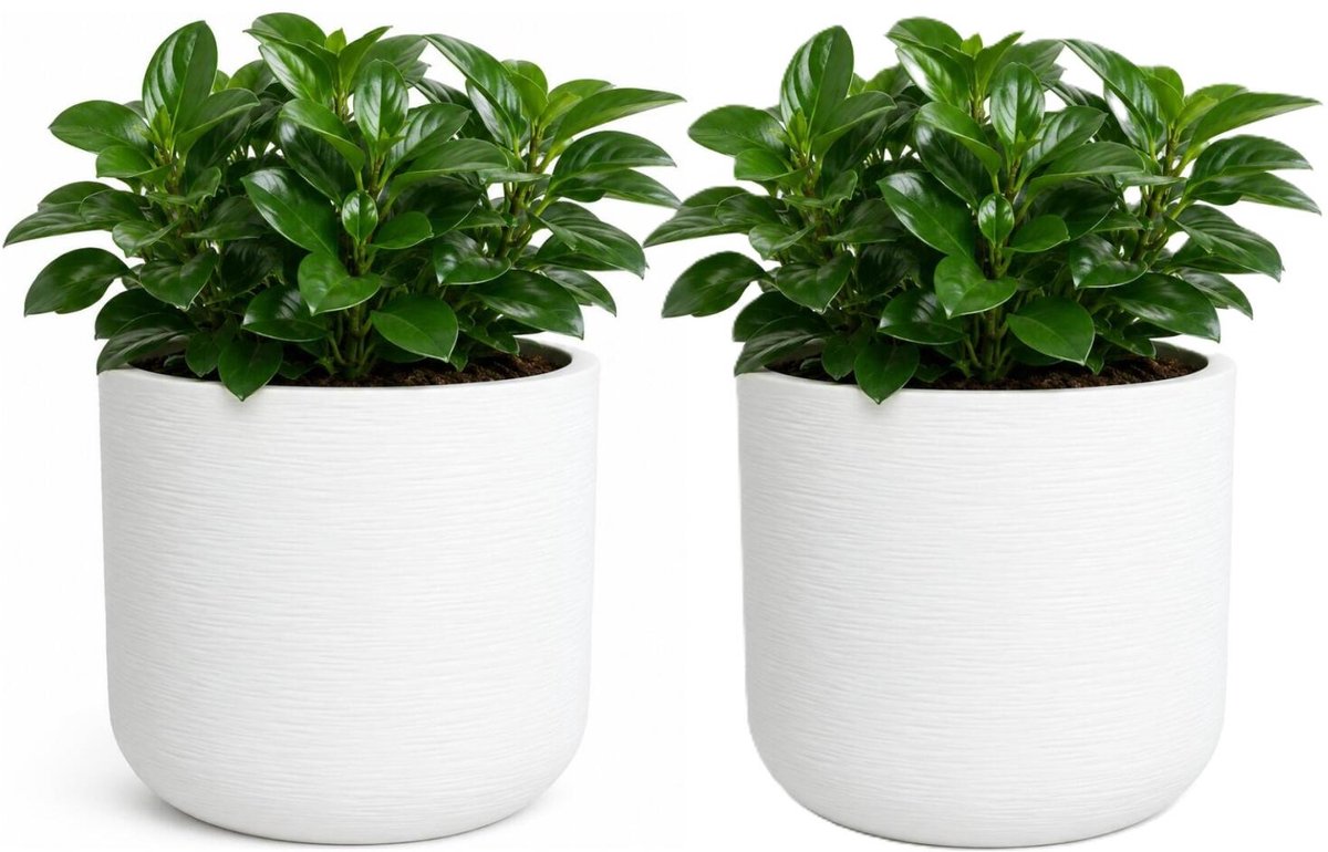 EDA Bloempot / plantenpot Graphit - 2x - rond - kunststof - creme wit - D39 x H37 cm - binnen en buiten