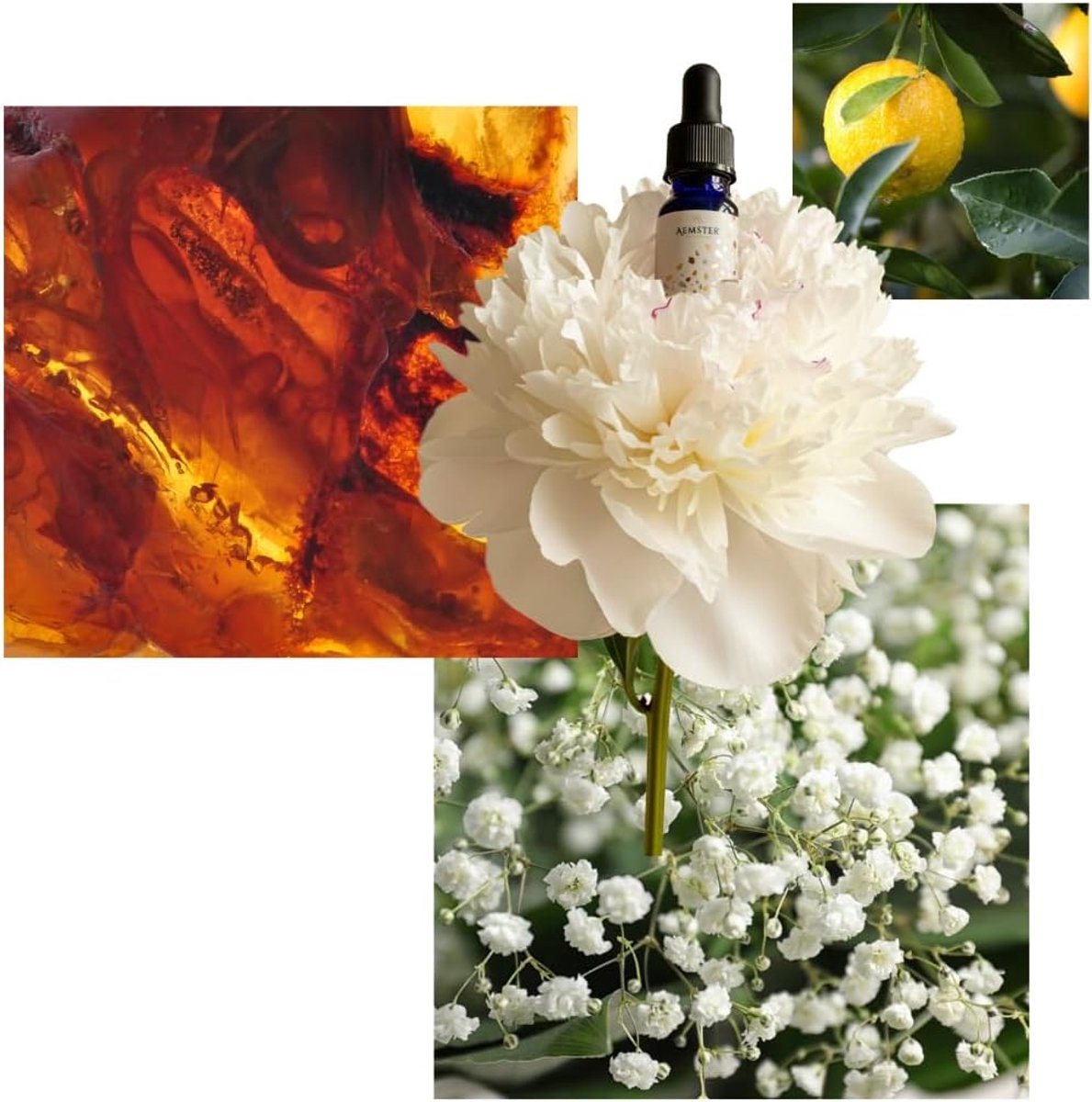 Thijox - Wanaka Woods Geurolie 15ml - Luxe Huisparfum voor Aroma Diffusers - Warme Geur met Oud Hout, Amber, Vanille en Witte Bloemen - Dierproefvrij
