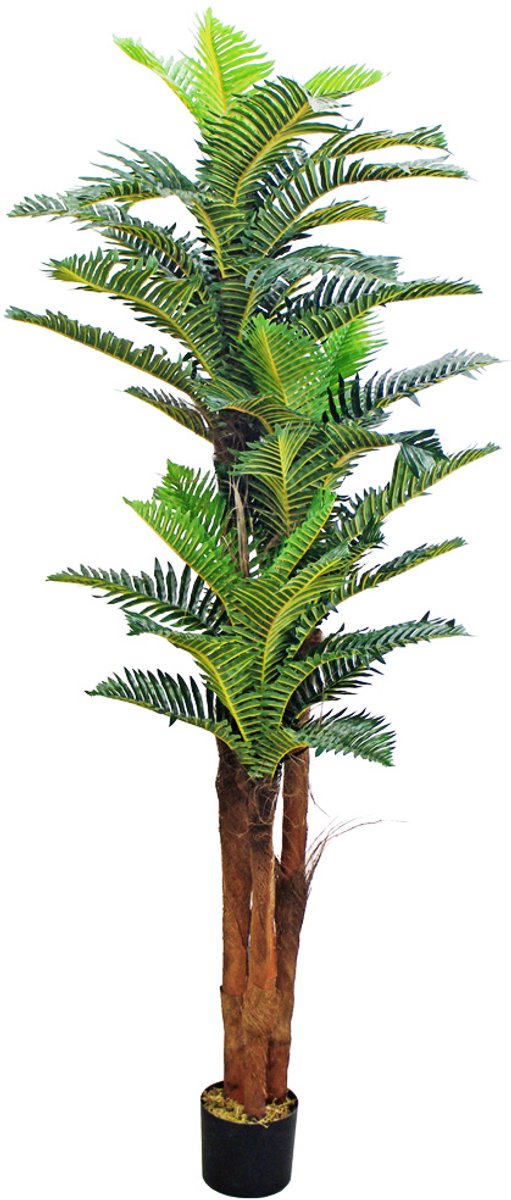 Kunstmatige Royal Palm Kokospalm Echt Hout Decoratie Bininnen 180cm DECOVEGO