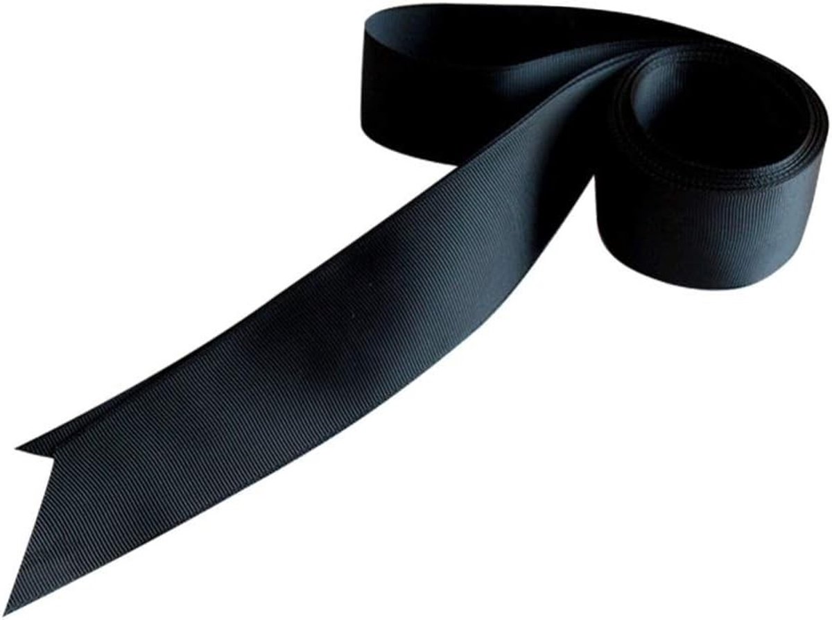 Elegante Satijnen Bruidsband voor Vrouwen - Lange, Brede en Eenvoudige Sash voor Speciale Gelegenheden in Paars