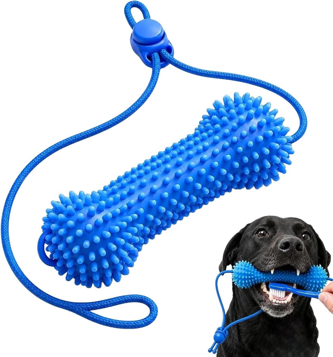 KZQ Hondentandenborstel – Tandenreinigingsborstel (voor het reinigen van tanden en de gebitsverzorging van puppy's) – Geschikt voor kleine tot middelgrote honden en puppy's – Ideaal voor gebruik binnenshuis en buitenshuis
