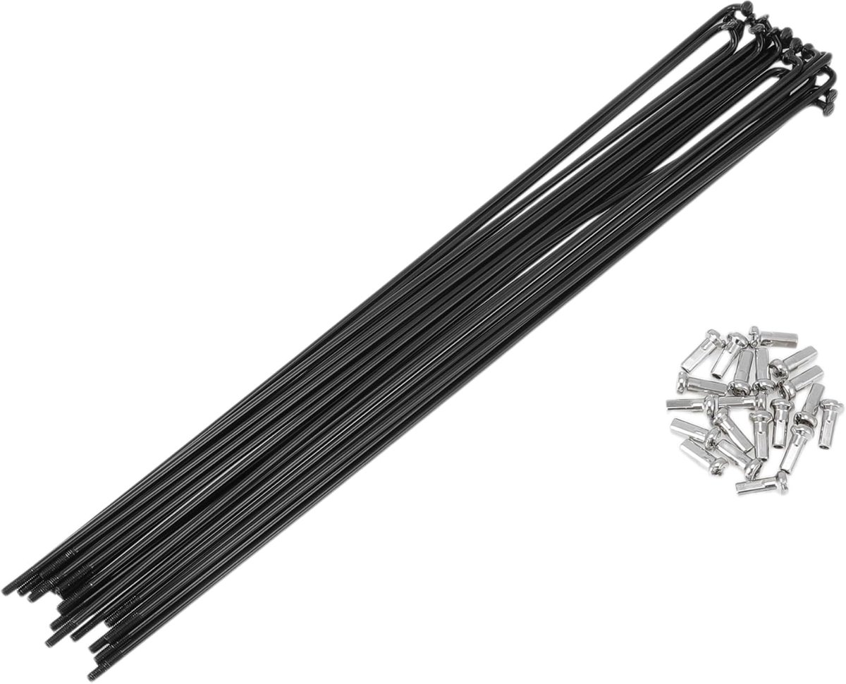 Spaken 233 mm fietsspaken 304 roestvrij staal zwart