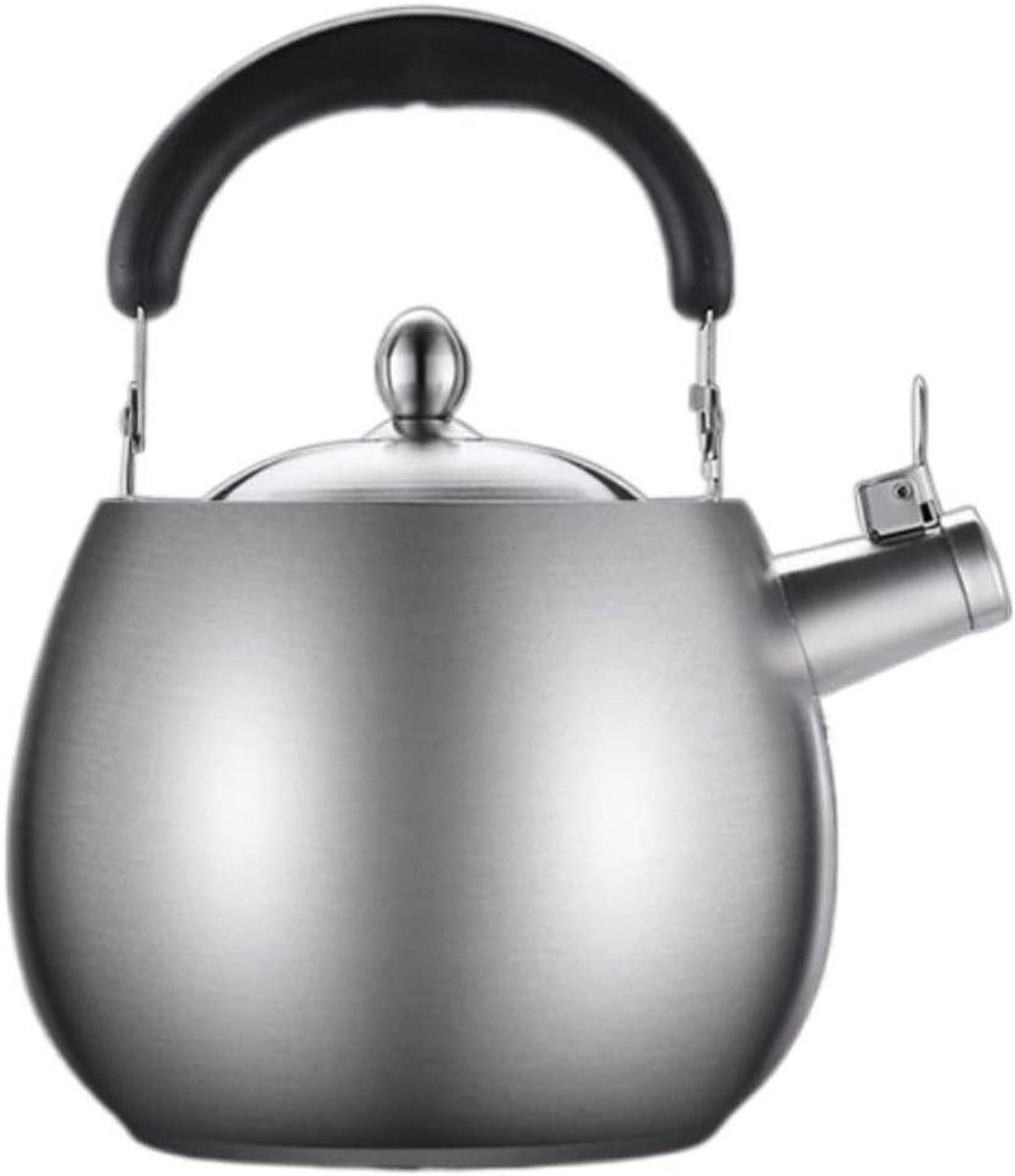 Waterkoker Roestvrij Staal - Theeketel Kookplaat - Water Koken - Automatisch Fluitje - 4 Liter - Zilverkleurig