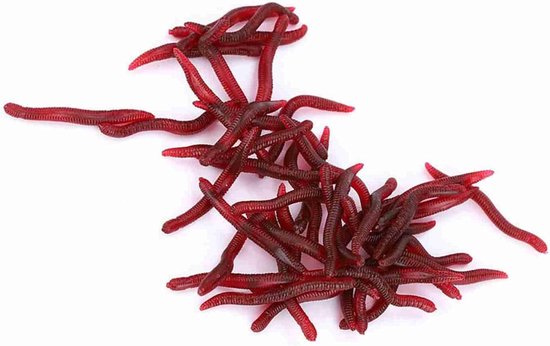 Kunstwormen VIsaas - Zachte Lokaas Regenworm - Vissen Vangen - Realistische Zwemactie - 4 cm - Rood — afbeelding 3