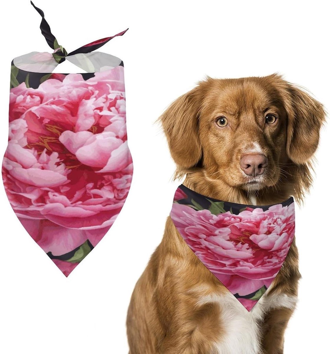 Honden Bandana - Huisdier Sjaal - Huisdier Versieren - Duurzaam Polyester - 70 x 30 cm - Tuin Pioen