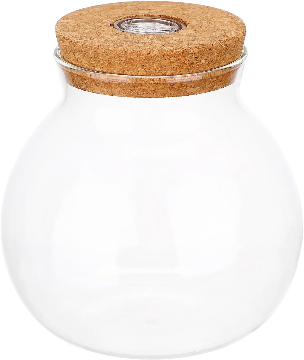 Dailygoods- Landschapsfles - Borosilicaatglas - Decoratie - Micro DIY - Container met deksel - Multifunctioneel - Woondecoratie - Terrarium