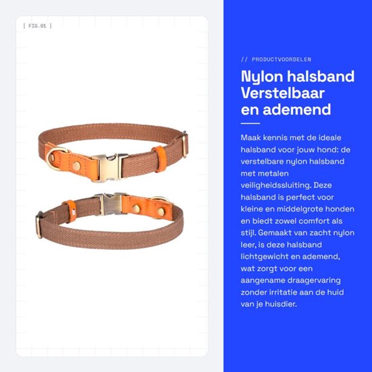 Halsband Verstelbaar - Nylon/Huisdierhalsband - Veiligheidsgesp - Roestvrij Stalen Sluiting - Lichtgewicht - Ademend Materiaal - Hondenhalsband