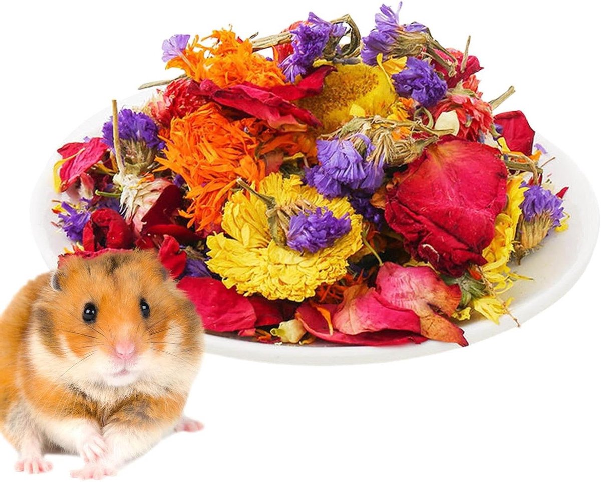 Hamsterbloemen Beddengoed - Natuurlijk Strooisel - Dierenverblijf Inrichten - Gedroogde Bloemen Mix - 15x22cm - Bloemenkleuren