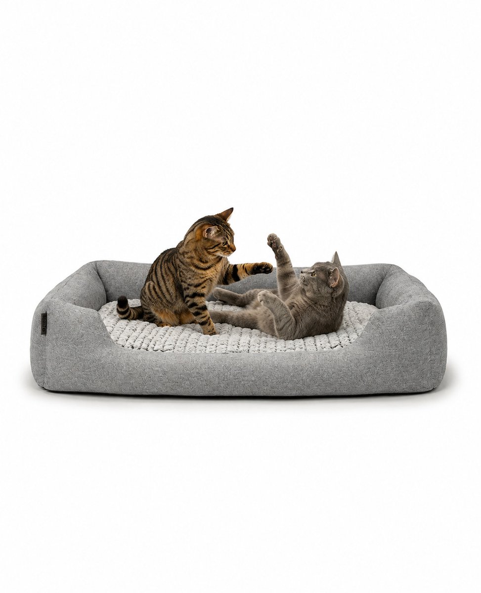 lionto Kattenbed, omkeerbaar kussen & lage instap, 110x80 cm grijs