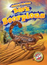 Animals of the Desert - Bark Scorpions