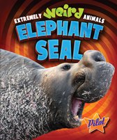 Extremely Weird Animals - Elephant Seal