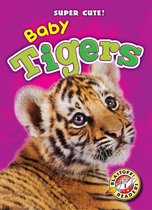 Super Cute! - Baby Tigers