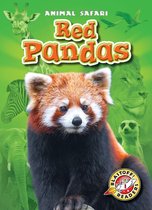 Animal Safari - Red Pandas