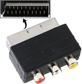A / V naar 20-pins mannelijke SCART-adapter