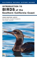 Introduction to Birds of the Southern California Coast