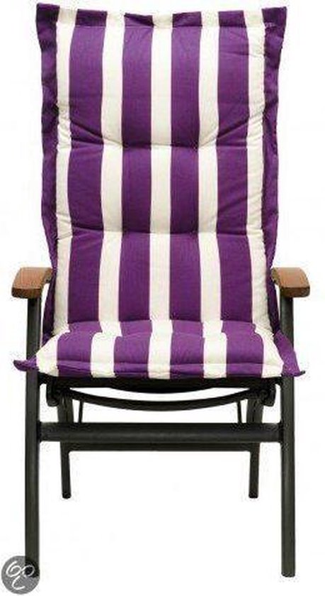 picknick Wijden Gecomprimeerd Cinderella Roma Purple - Hoge Rug | bol.com