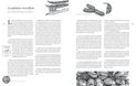 Product afbeelding  15