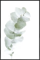 JUNIQE - Poster in kunststof lijst Eucalyptus White 1 -30x45 /Groen &