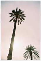 JUNIQE - Poster in kunststof lijst Palm Trees -30x45 /Roze