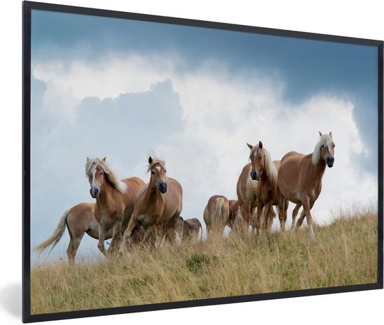 Fotolijst incl. Poster - Haflinger paarden - 30x20 cm - Posterlijst