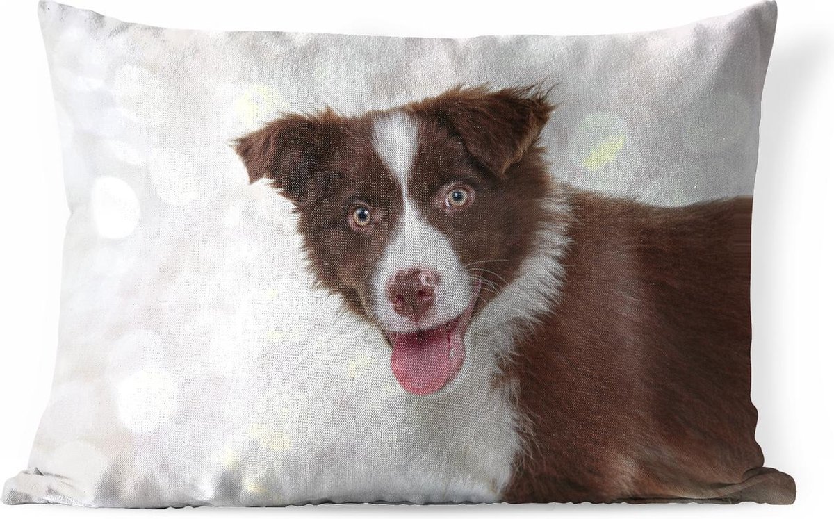 Buitenkussens Tuin Bruinwitte border collie pup steekt zijn tong uit 50x30 cm