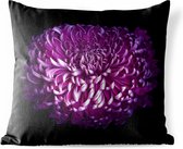Buitenkussens - Tuin - De bladeren van een paarse bloem tegen een zwarte achtergrond - 45x45 cm