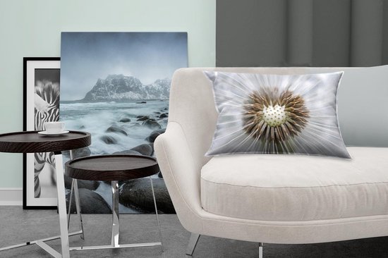 Sierkussen Graines de pissenlit pour usage intérieur - Il manque quelques graines de pissenlit - 50x30 cm - Coussin intérieur rectangulaire en coton