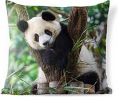 Coussins d'extérieur - Jardin - Chiot Panda - 40x40 cm