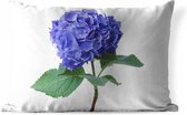 Buitenkussens - Tuin - Hortensia blauw - 50x30 cm