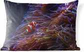 Buitenkussens - Tuin - Nemo clown vis bij koraal - 60x40 cm
