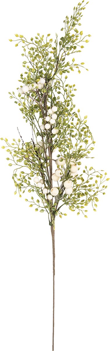 Clayre & Eef Decoratie tak 70 cm Groen, Wit Foam Decoratietak Kunstplant Kunstbloem
