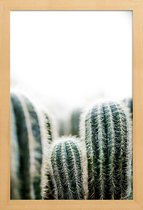 JUNIQE - Poster in houten lijst Cactus 1 -40x60 /Groen & Wit